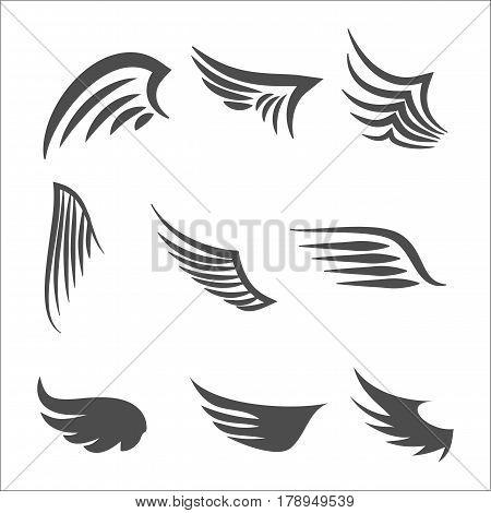 Wings. Set of design elements. Vector illustration