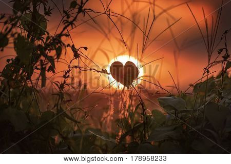Sunset in Campo Magro. Campo Magro in the Metropolitan Region of Curitiba is located to the northwest of the Region. City of the State of Paraná Brazil.