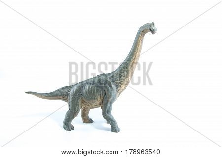 Green Brachiosaurus Altithorax From The Late Jurassic Full Body White Background