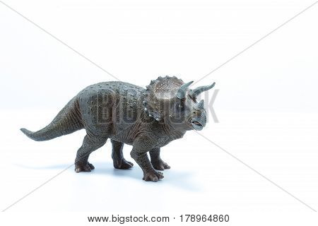 Triceratops Dinosaurs Toy Isolated On White Background - Side View