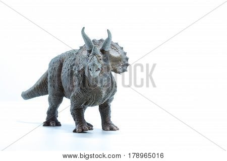 Triceratops Dinosaurs Toy Isolated On White Background - Front View