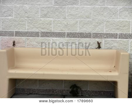 Bain de soleil lézards