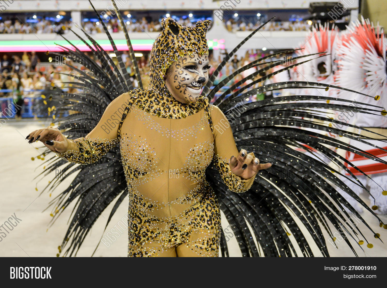 Carnival 18 Image Photo Free Trial Bigstock