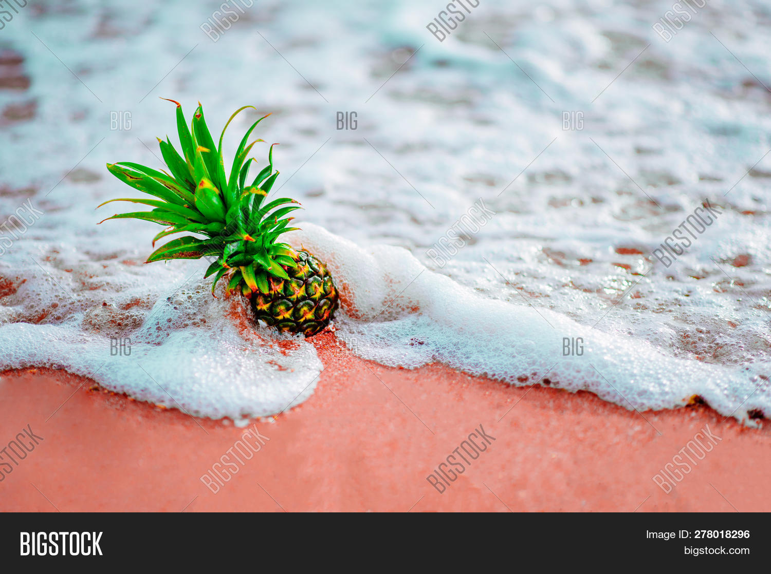 Pineapple On Beach. Image & Photo (Free Trial) Bigstock