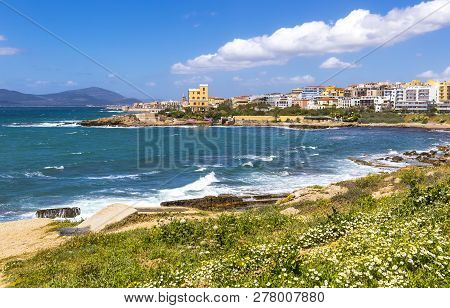 Mediterranean Seacoast In Alghero City, Sardinia, Italy. Spring Flowers And Trees On Foreground, Col