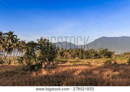 A Sunny Morning In A Village Lost Due To The Earthquake And Liquefaction Of Petobo Indonesia Central