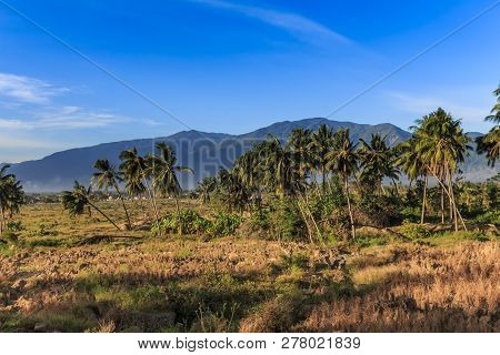 A Sunny Morning In A Village Lost Due To The Earthquake And Liquefaction Of Petobo Indonesia Central
