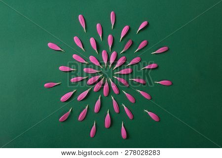 Pink Gerbera Pestals On Green Background Closeup