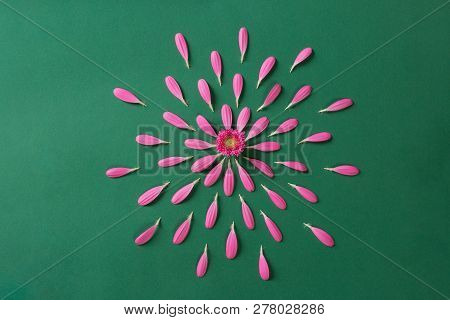 Pink Gerbera Pestals On Green Background Closeup