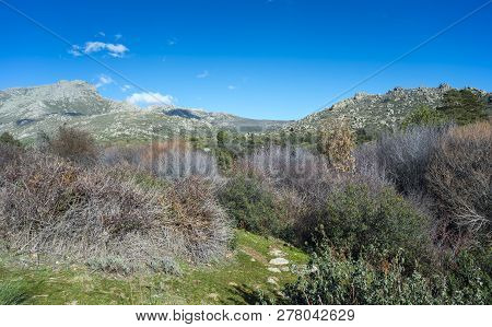 Views Of The River Navacerrada In Guadarrama Mountains (madrid, Spain), With La Maliciosa Peak In Th
