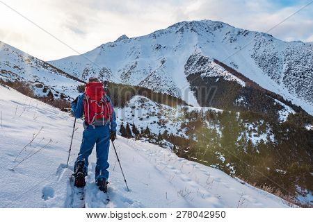 A Man In The Mountains. Ski Touring On A Split Snowboard. A Man Stands With His Back To The Viewer A