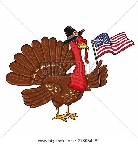 Turkey With Flag Of America, Isolated On The White Background
