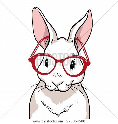Rabbit Portrait With Red Glasses Isolated. Rabbit On A White Background. Cute Rabbit Cartoon