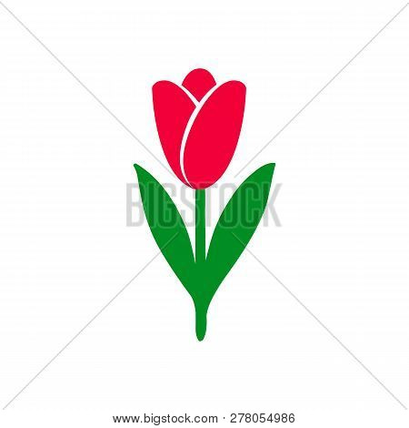 Tulip Icon Bright Colors. Hand Drawn Style Vector Design Illustrations