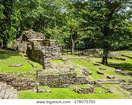 Ancient Mayan Ruins In Yaxchilan Archaeological Park, Chiapas, Mexico
