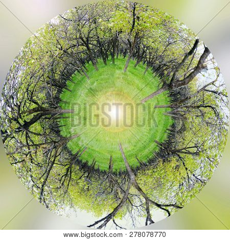 Circular Panorama Of The Garden Of Fruit Trees