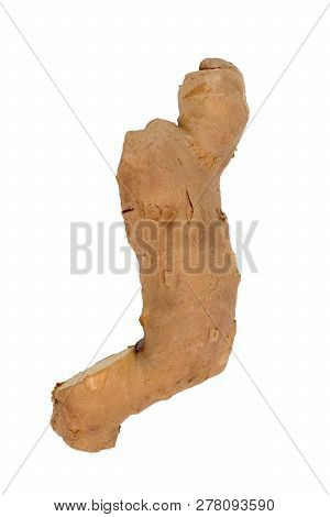 Fresh Ginger, Image Isolate On White Background, Herb Medical Concept. Fresh Vegetable
