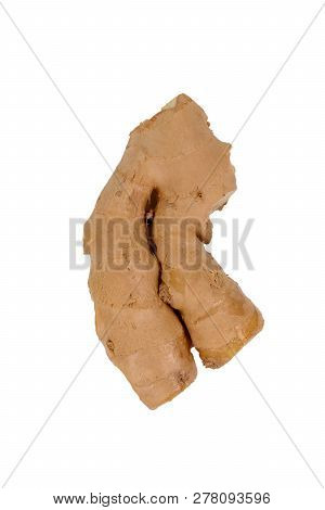 Fresh Ginger, Image Isolate On White Background, Herb Medical Concept. Fresh Vegetable