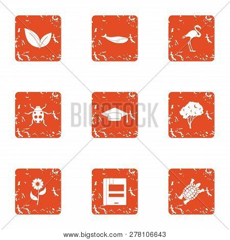 Zoological Icons Set. Grunge Set Of 9 Zoological Icons For Web Isolated On White Background