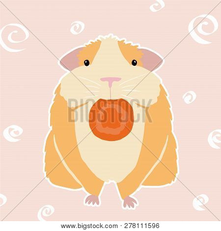 Colorful Cavy On Pink Background. Illustration Of Cavy With Carrot.