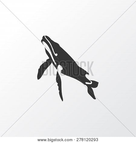 Whale Icon Symbol. Premium Quality Isolated Cetacean Element In Trendy Style.