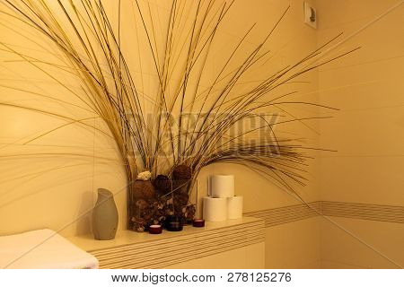 Interior Of The Bathroom Composition Of Dried Flowers, Vases And Toilet Paper