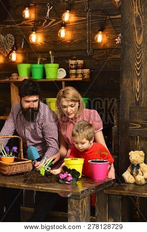 Father And Son With Mother. Flower Care Watering. Soil Fertilizers. Woman, Man And Little Boy Child 
