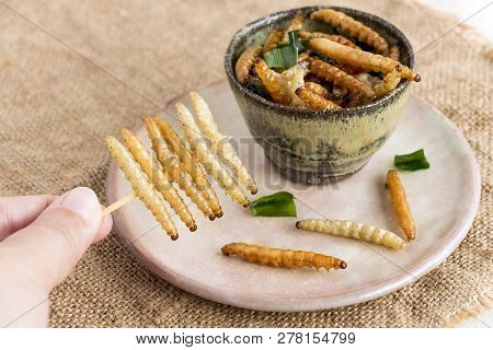 Food Insects: Woman's Hand Holding Bamboo Worm Caterpillar Insect Fried Crispy For Eating As Food It