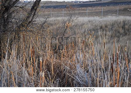 Views From The Cradleboard Trail Walking Path On The Carolyn Holmberg Preserve In Broomfield Colorad