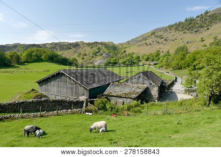 Fields And Farmland Near Tilberthwaite, Coniston, In The English Lake District