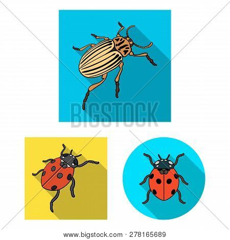 Vector Illustration Of Insect And Beetle Icon. Collection Of Insect And Halloween Vector Icon For St