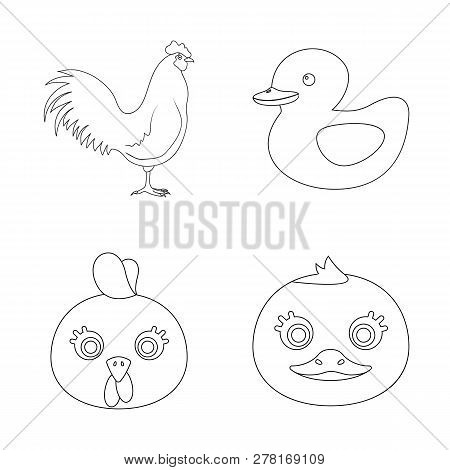 Isolated Object Of Funny And Poultry Symbol. Set Of Funny And Farming Vector Icon For Stock.