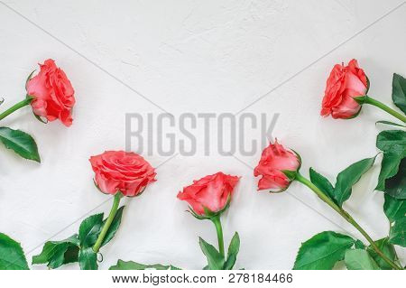 Red Roses On A White Textured Background. Flat Layred Roses On A White Textured Background. Flat Lay