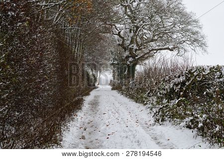 Snow Covered Road