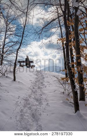 Snow Covered Forest And Blue Sky In Winter