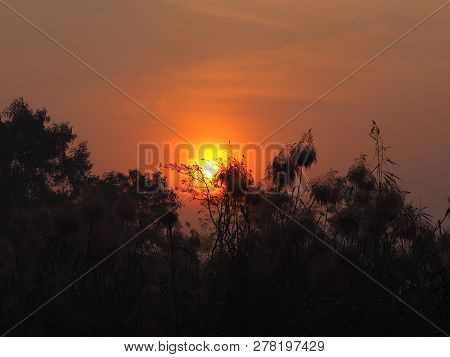 Sunrise Sun Up The Sun Is Going Up Behind The Bush Black Treee Background