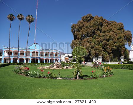 Santa Maria Del Tule, North America Mexico On February 2018: Main Square In Front Of Town Hall And C