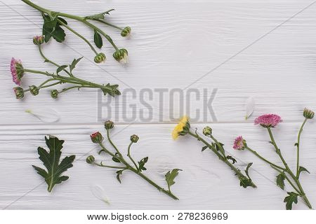 Unripe Flowers And Leaves On White. Top View, Flat Lay.