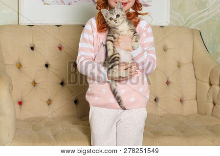 Girl Holding A Striped Kitten On The Background Of A Beige Sofa