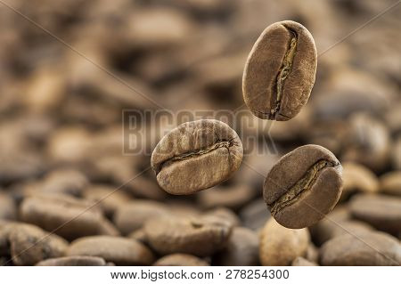 Flying Fresh Coffee Beans As A Background With Copy Space. Coffee Beans Falling Down With White Stea