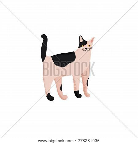 Vector Illustration. Cute Character Cartoon Style Of Cat. Icon Of Domestic Metis Breed For Different