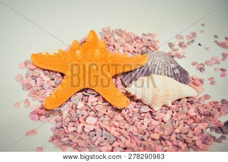 One Or A Set Of Several Different Shells And Starfish On A Pink Small Stones