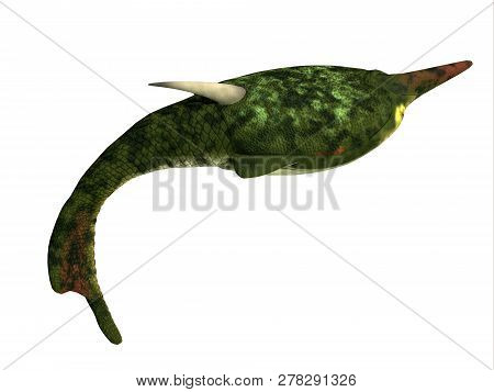 Pteraspis Fish 3d Illustration - Pteraspis Was A Primitive Jawless Fish That Lived In The Oceans Of 