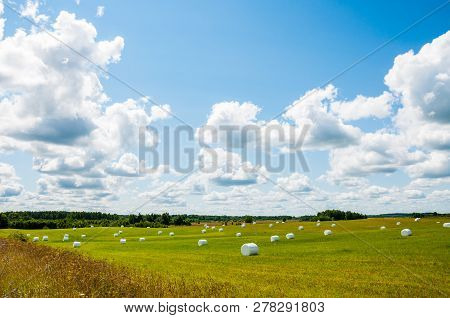 Many White Sacks Of Mown And Packed Hay Laid Out On The Green Field Surrounded By Scenic Landscape