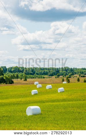 Many White Sacks Of Mown And Packed Hay Laid Out On The Green Field Surrounded By Scenic Landscape