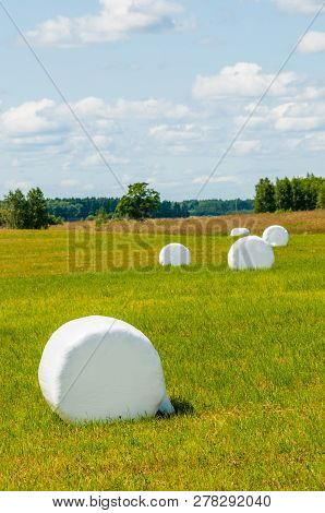 Many White Sacks Of Mown And Packed Hay Laid Out On The Green Field Surrounded By Scenic Landscape