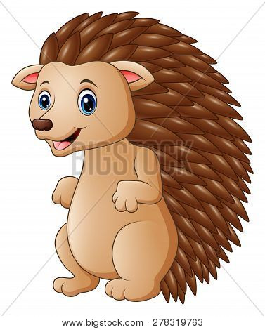 Cute Hedgehog Cartoon On A White Background