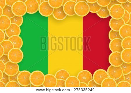 Mali Flag  In Fresh Citrus Fruit Slices Frame