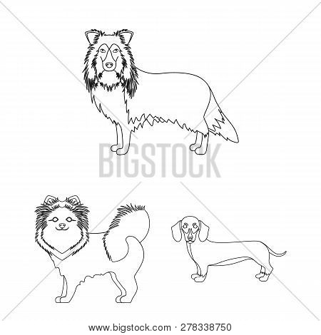 Vector Design Of  Cute  And  Sign. Set Of  Cute  And  Vector Icon For Stock.