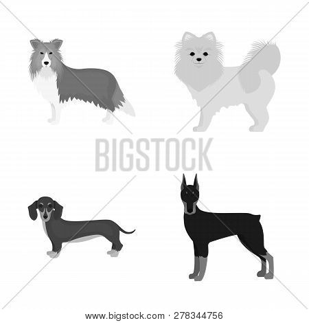 Vector Illustration Of  Cute  And  Sign. Set Of  Cute  And  Stock Vector Illustration.